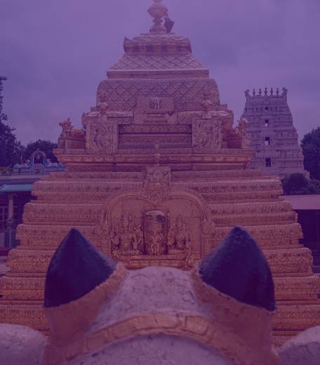 Srisailam & Mantralayam